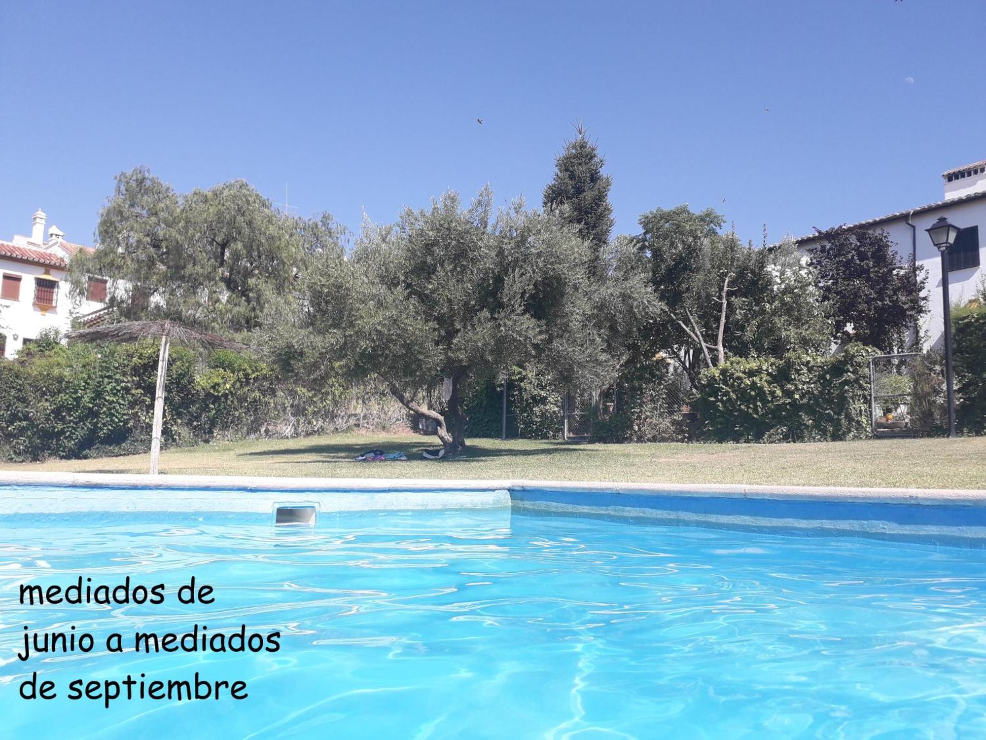 Ferienwohnung Piso Blanco Ronda Exterior foto
